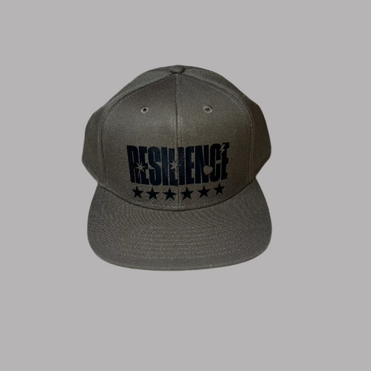 Resilience Hat Moss Cosmic Charge